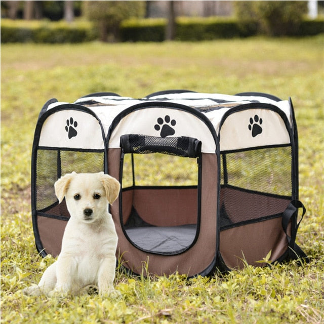 Portable Pet Tent - Crypto Chilly